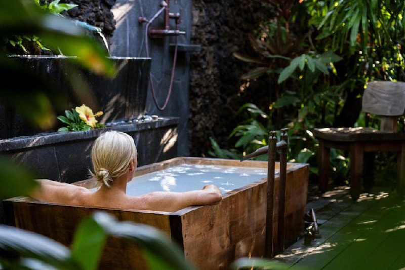Kerala wellness retreat