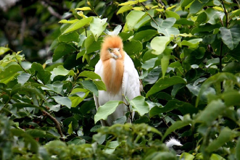 Indian nature tour