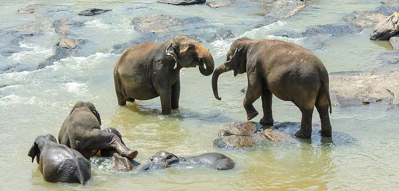 Sri Lanka travel experience