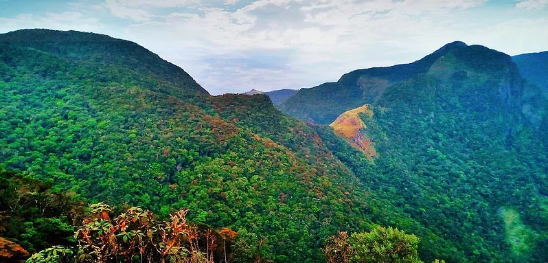 Tea Country