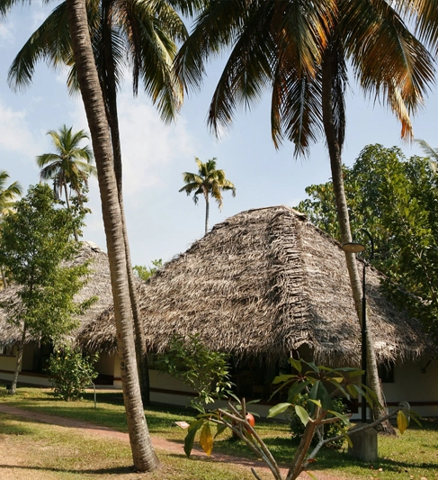 Mehrangarh Fort, Jodhpur